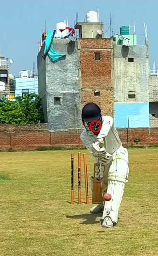 You batting pose with skeleton overlay